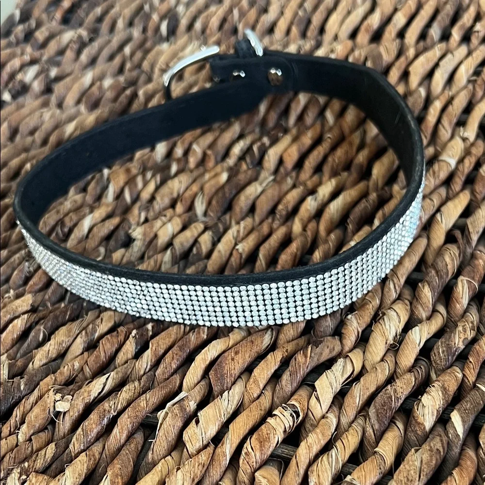 Elegant Black and Silver Dog Collar